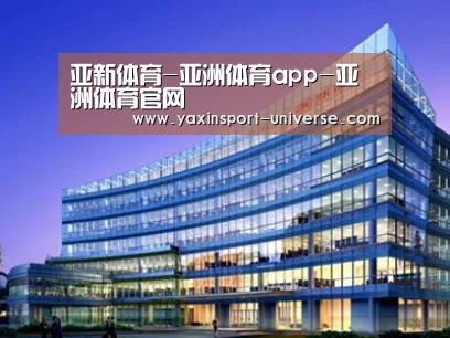 案例展示五